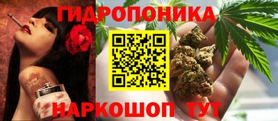 индика Тулун