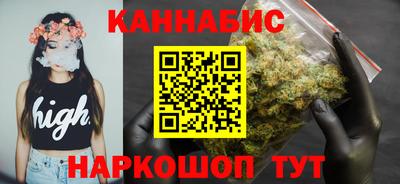 индика Тулун