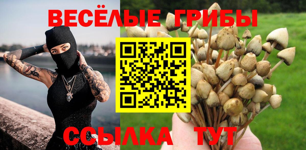 купить закладку  Вход с VPN  Бахчисарай  Псилоцибиновые грибы MAGIC MUSHROOMS 